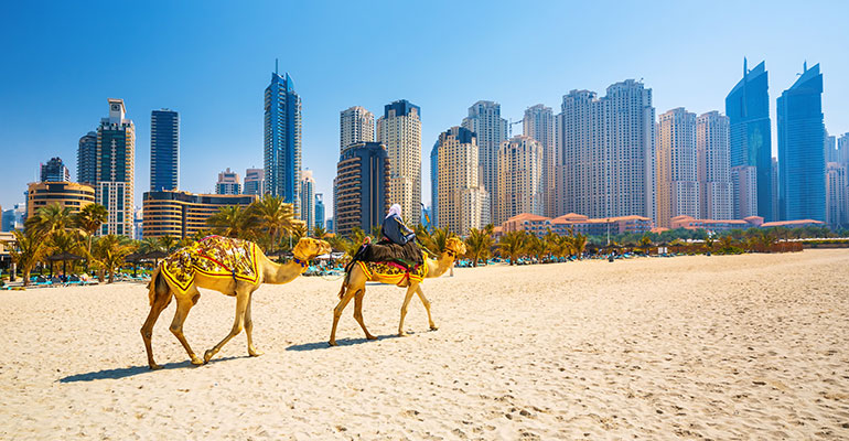 FPI Top 10 | Camels walking through a desert in Dubai